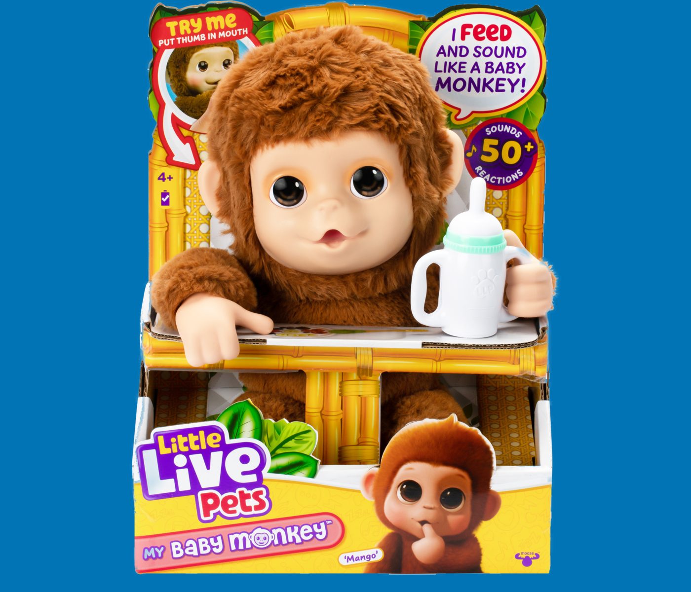 monkey